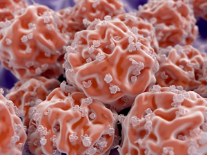 Illustration of Stem Cells