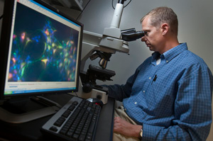 Photo of Dr. Gamm at the microscope