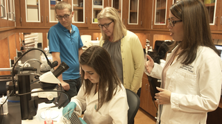 Photo of Dr. Shannon Boye and colleagues in the laboratory.