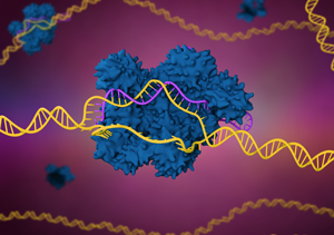 Illustration of gene therapy