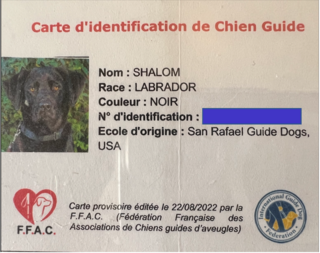 Shiloh's Guide Dog ID for France.