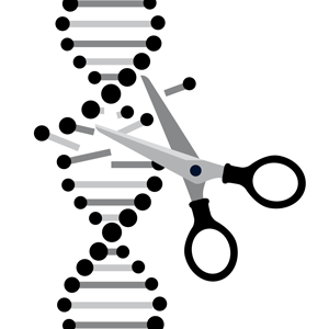 Illustration of gene editing using scissors