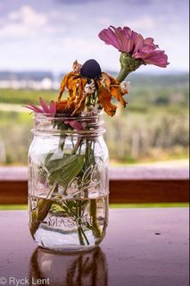 Close-up of clear Mason jar containing pink/purple flowers in water; jar sits on brown wood table; background is out-of-focus view of fields, farm buildings, horizon and sky; view through water in lower part of jar turns background upside-down.