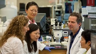 Photo of researchers in a laboratory.